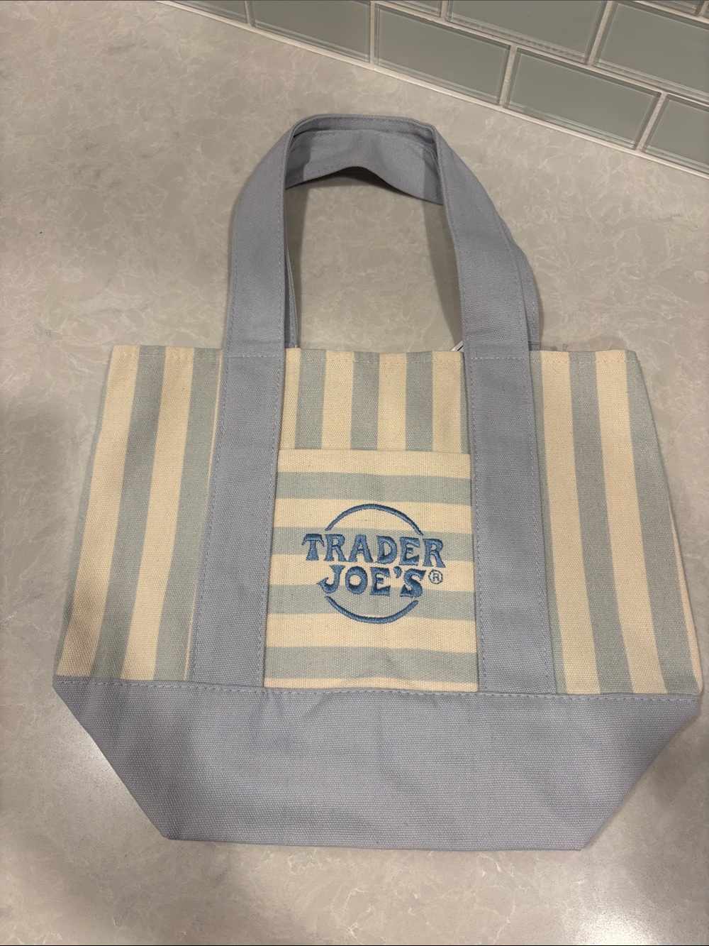 Trader Joe's TikTok Blue & white Striped Canvas mini Tote Bag